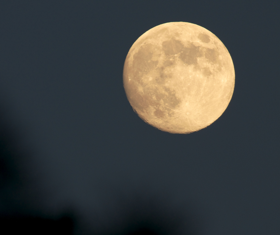 You are currently viewing Pełnia Księżyca Jesiotrów – 22. sierpnia 2021 r.
