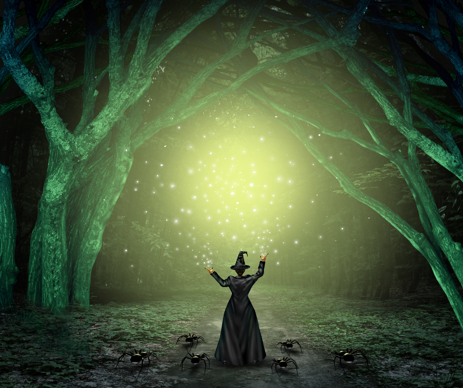czarownica wiedźma wróżka